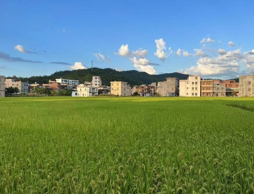 菲律宾VS缅甸直播_菲律宾VS缅甸直播免费观看_菲律宾VS缅甸直播无插件观看